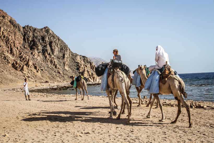 Grand Safari including Snorkeling at the Blue Hole and a Camel Ride along the Gulf of Aqaba