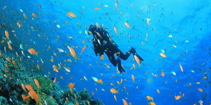 www.egypttraveltips.com