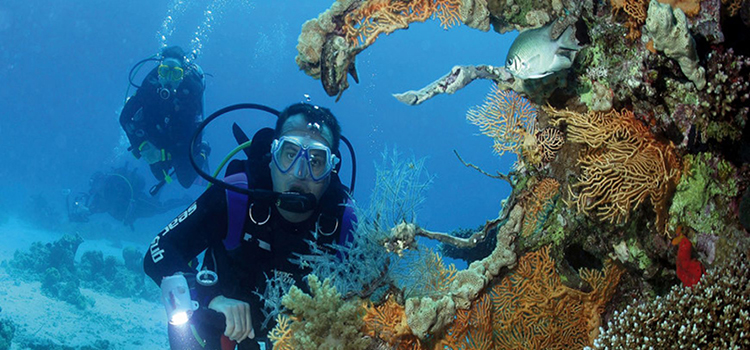 www.egypttraveltips.com