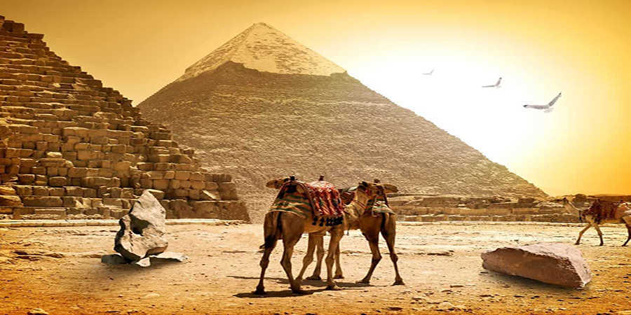 www.egypttraveltips.com