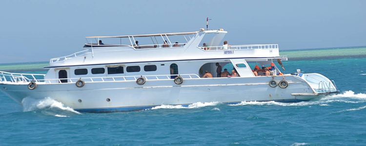 www.egypttraveltips.com