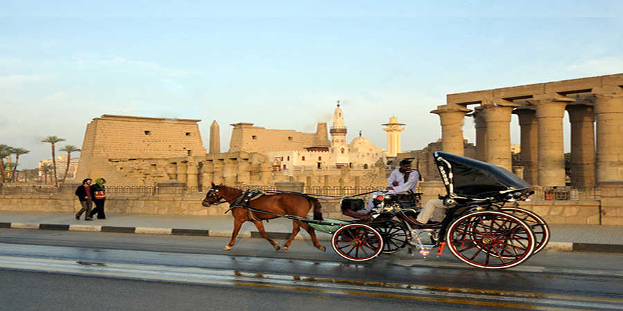 www.egypttraveltips.com